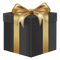 Mystery Gift